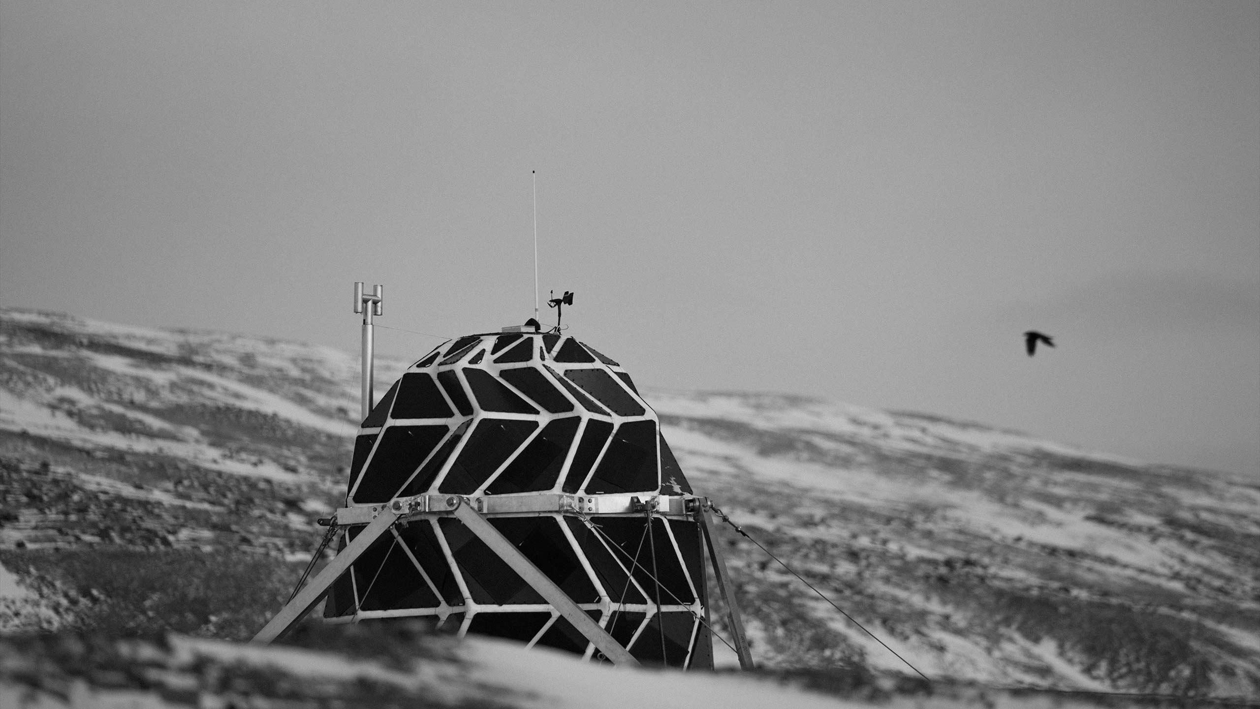 Even high above the arctic circle, the occasional bird would still visit