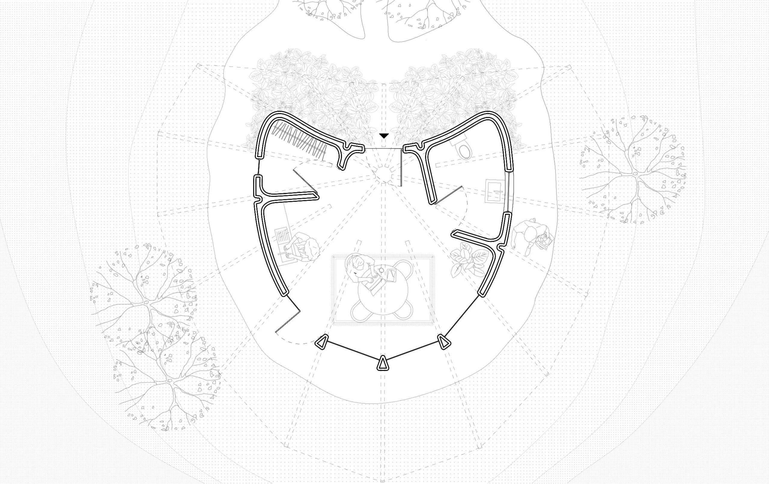 Puma cabin floorplan drawing