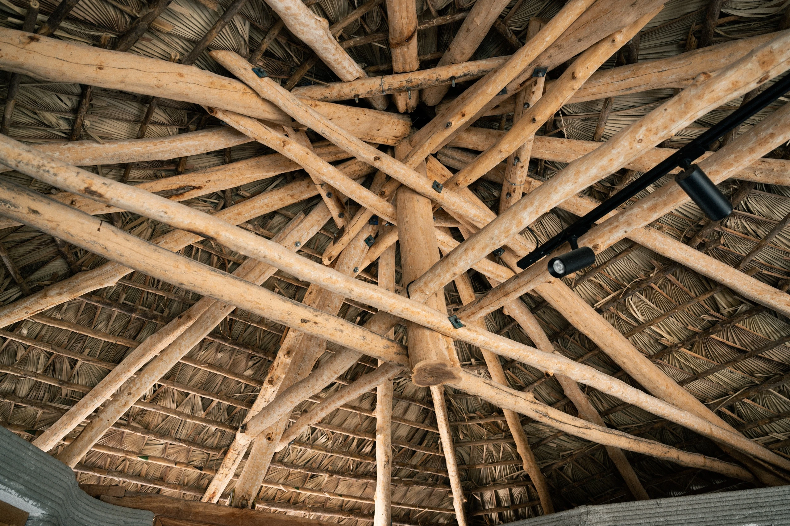 Image of mirador pavilion ceiling