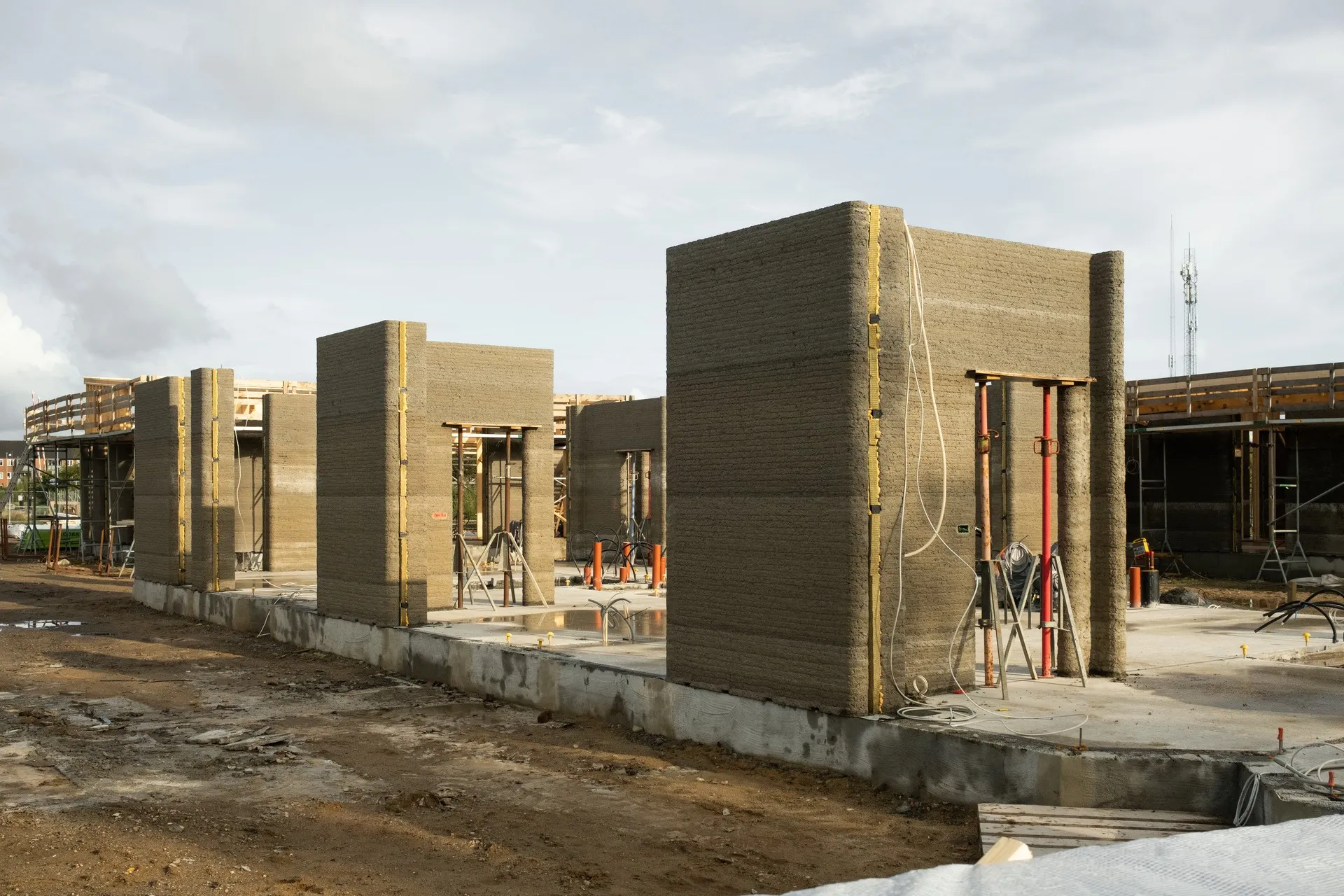 Image of Skovsporet printed walls